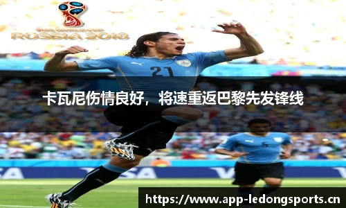 ld乐动体育官方网站