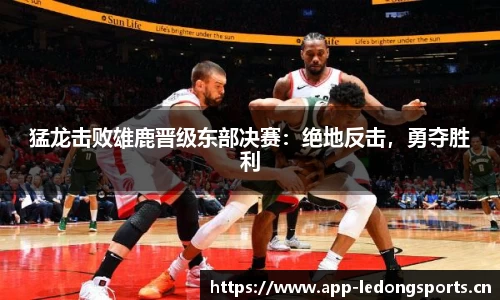 ld乐动体育官网