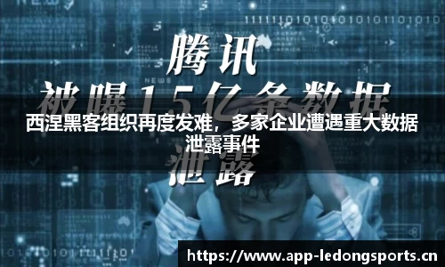 ld乐动体育平台