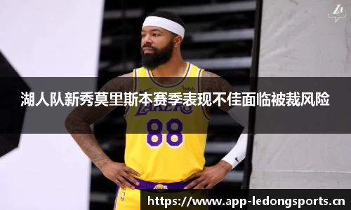 ld乐动体育官网