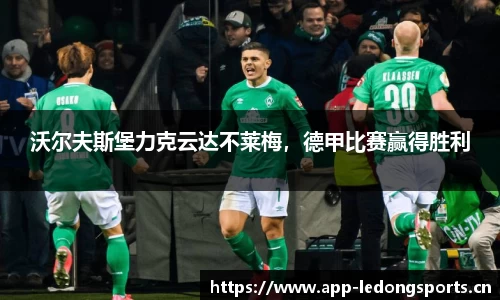 ld乐动体育