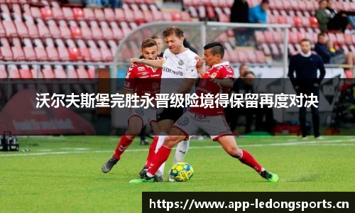 ld乐动体育
