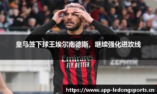 ld乐动体育