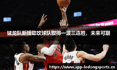 ld乐动体育