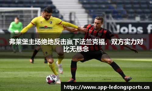 ld乐动体育平台