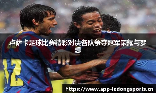 ld乐动体育