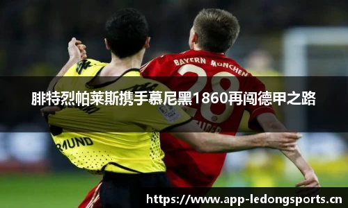 ld乐动体育官方网站