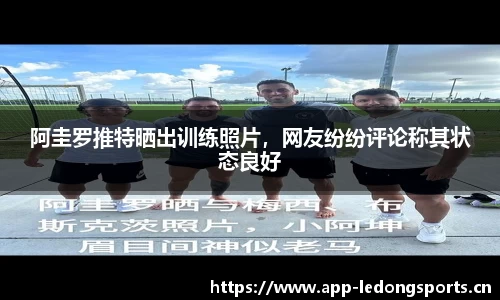 ld乐动体育