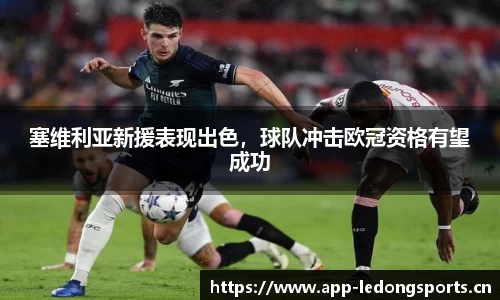 ld乐动体育官网