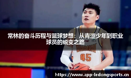 ld乐动体育官方网站