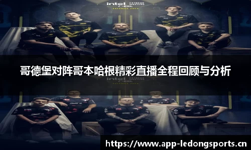 ld乐动体育平台