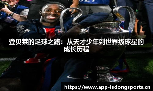 ld乐动体育官网