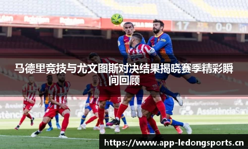 ld乐动体育