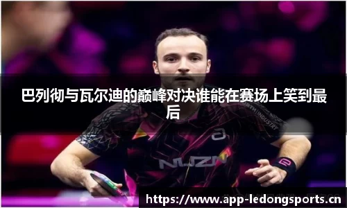 ld乐动体育